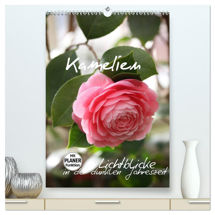 Kamelien Lichtblicke in der dunklen Jahreszeit (CALVENDO Premium Wandkalender 2026)
