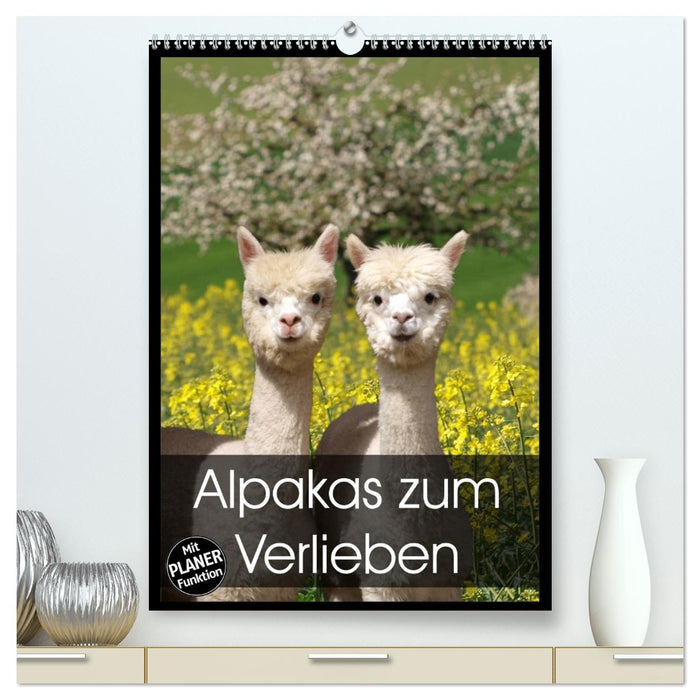 Alpakas zum Verlieben (CALVENDO Premium Wandkalender 2026)