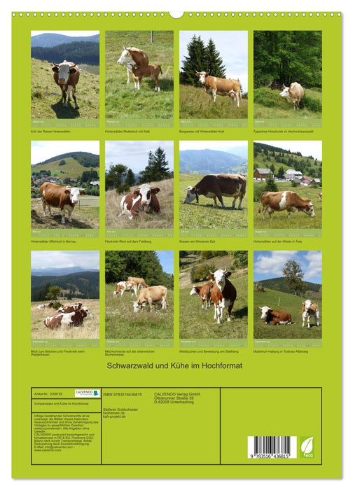 Schwarzwald und Kühe im Hochformat (CALVENDO Premium Wandkalender 2026)