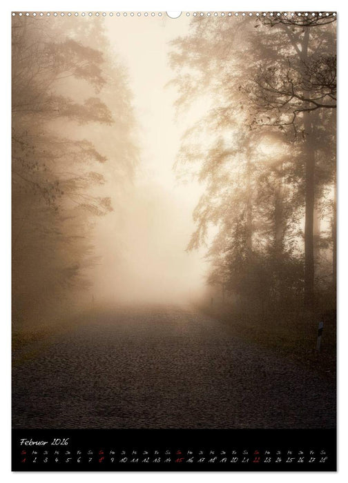 Weimar - Die Stadt im Park (CALVENDO Premium Wandkalender 2026)