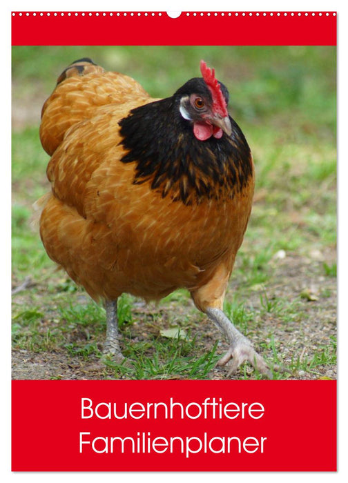 Bauernhoftiere Familienplaner (CALVENDO Wandkalender 2026)