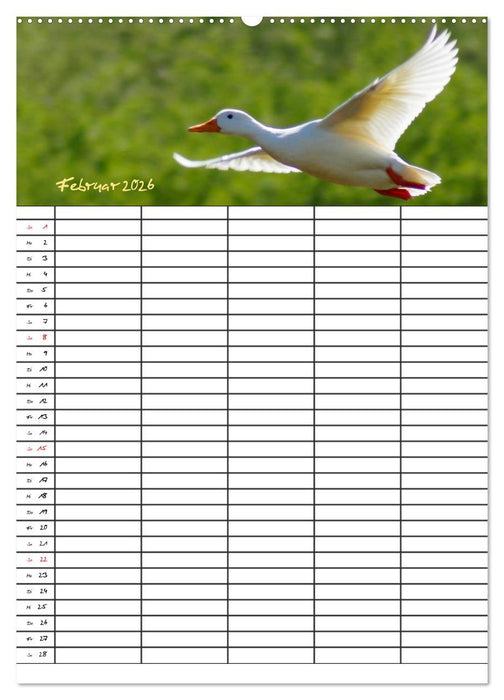 Bauernhoftiere Familienplaner (CALVENDO Wandkalender 2026)