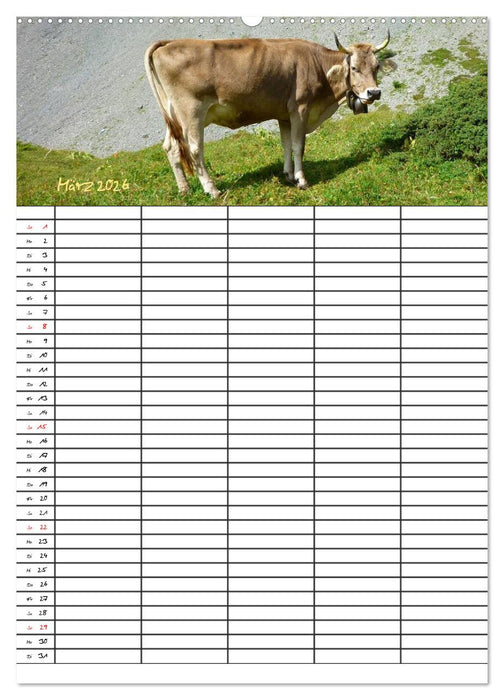Bauernhoftiere Familienplaner (CALVENDO Wandkalender 2026)
