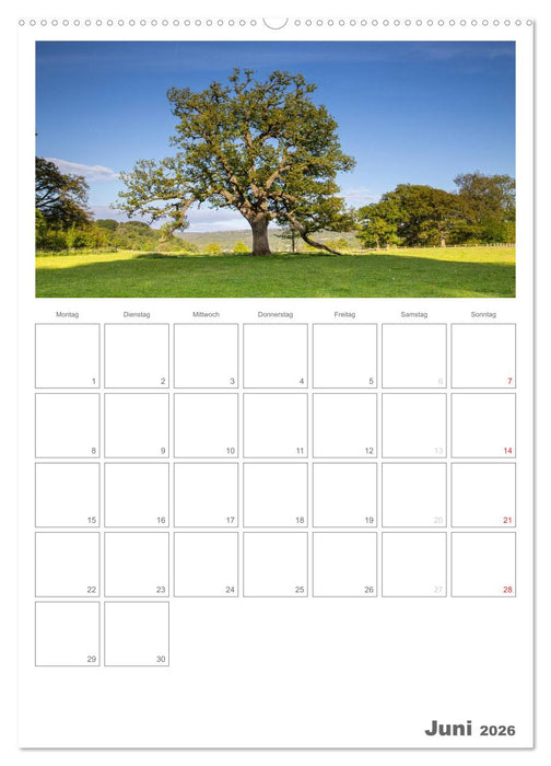 Eine Reise durch Wales (CALVENDO Wandkalender 2026)