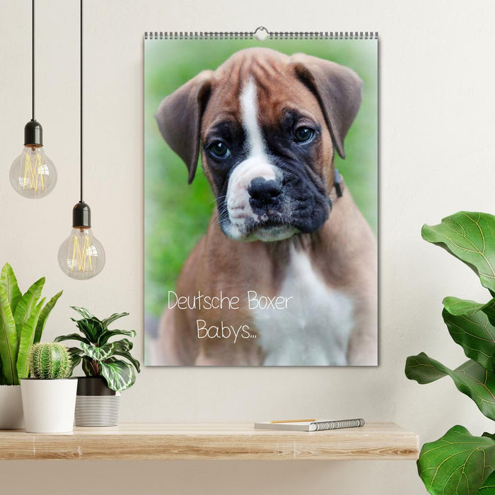 Deutsche Boxer Babys... (CALVENDO Wandkalender 2026)