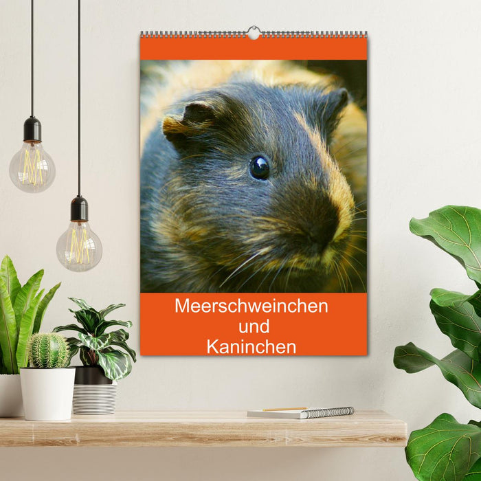 Meerschweinchen und Kaninchen Familienplaner (CALVENDO Wandkalender 2026)