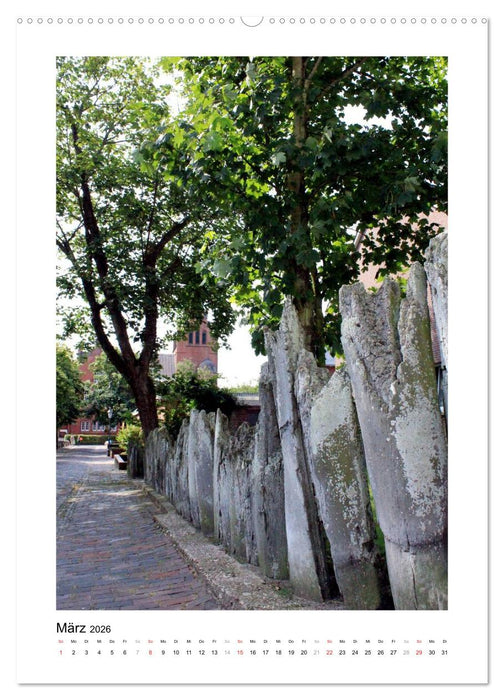 Borkum - Inselträume an der Nordsee (CALVENDO Premium Wandkalender 2026)