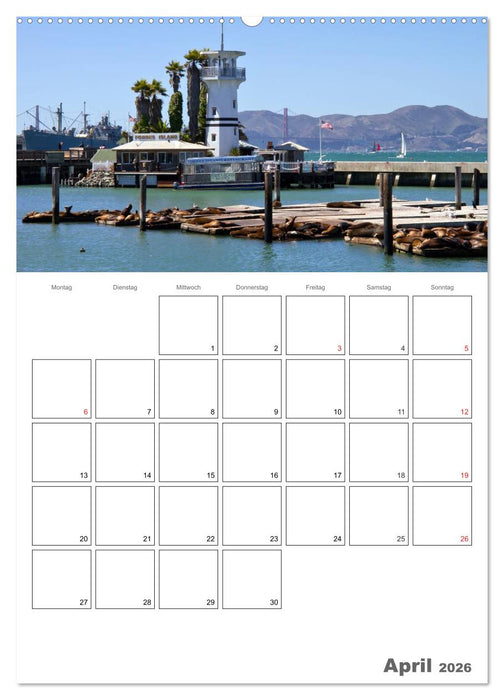 SAN FRANCISCO Terminplaner (CALVENDO Premium Wandkalender 2026)
