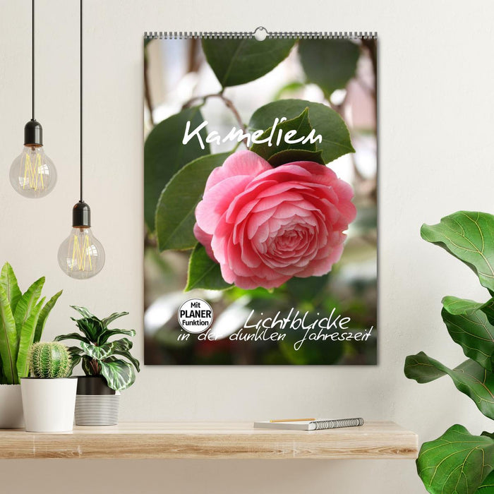 Kamelien Lichtblicke in der dunklen Jahreszeit (CALVENDO Wandkalender 2026)