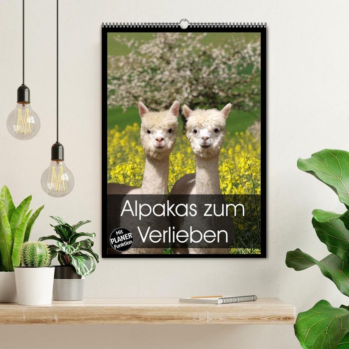 Alpakas zum Verlieben (CALVENDO Wandkalender 2026)