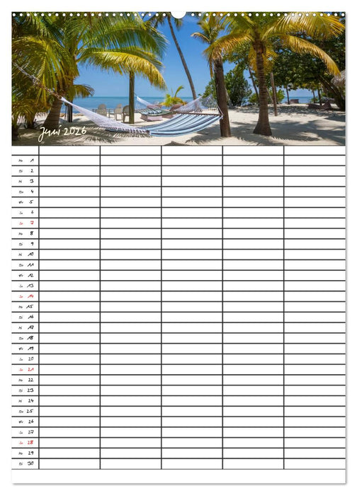 Idyllisches Florida / Familienplaner (CALVENDO Wandkalender 2026)