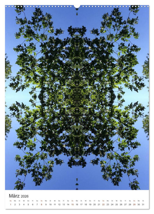 Qi 2026 (CALVENDO Wandkalender 2026)