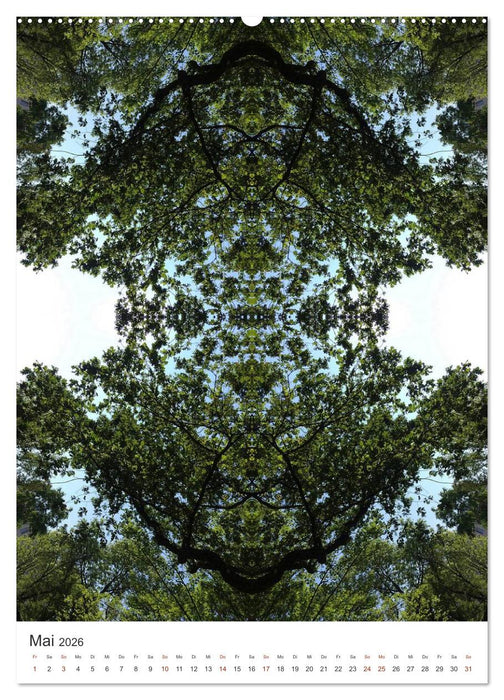 Qi 2026 (CALVENDO Wandkalender 2026)