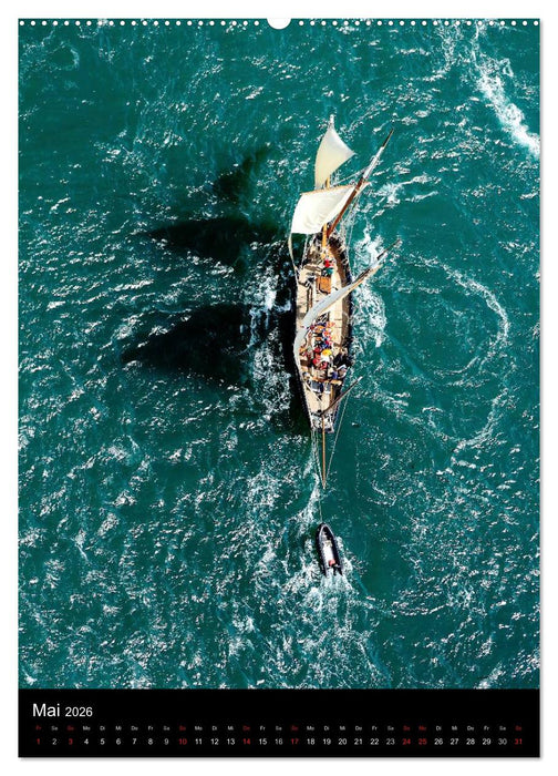 Segelschiffe von damals (CALVENDO Premium Wandkalender 2026)