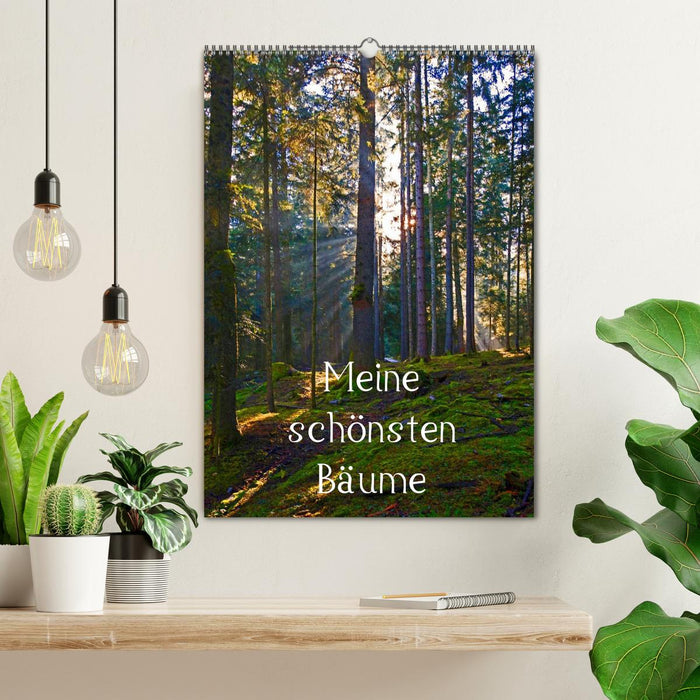 Meine schönsten Bäume (CALVENDO Wandkalender 2026)
