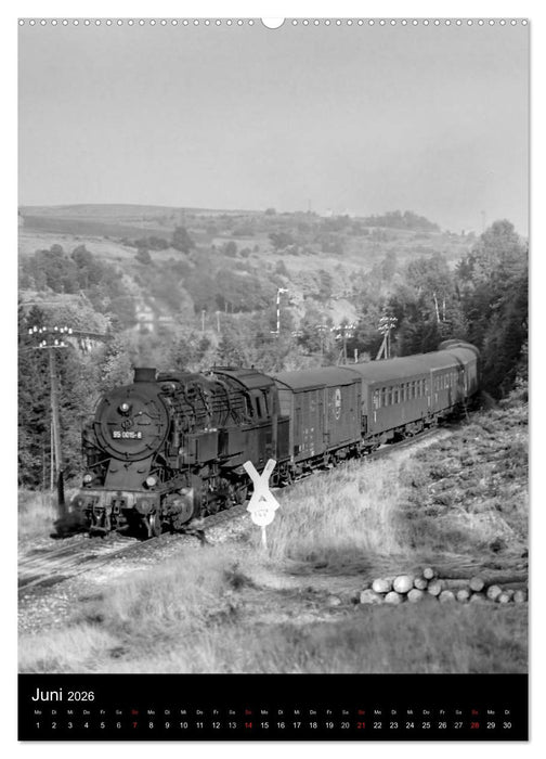 Dampfloks 95.0 im Einsatz (CALVENDO Premium Wandkalender 2026)