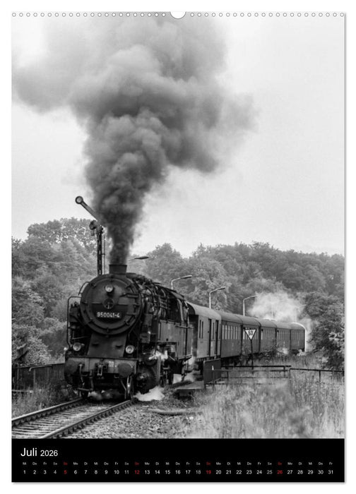Dampfloks 95.0 im Einsatz (CALVENDO Premium Wandkalender 2026)