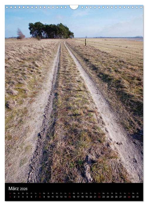 Havelland im Wandel der Jahreszeiten (CALVENDO Wandkalender 2026)