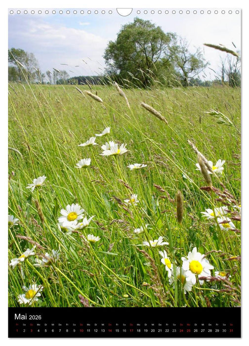 Havelland im Wandel der Jahreszeiten (CALVENDO Wandkalender 2026)