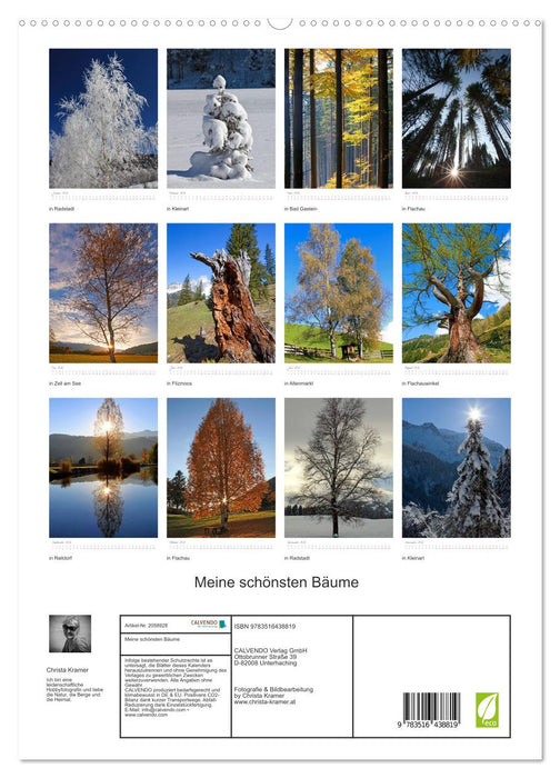 Meine schönsten Bäume (CALVENDO Premium Wandkalender 2026)