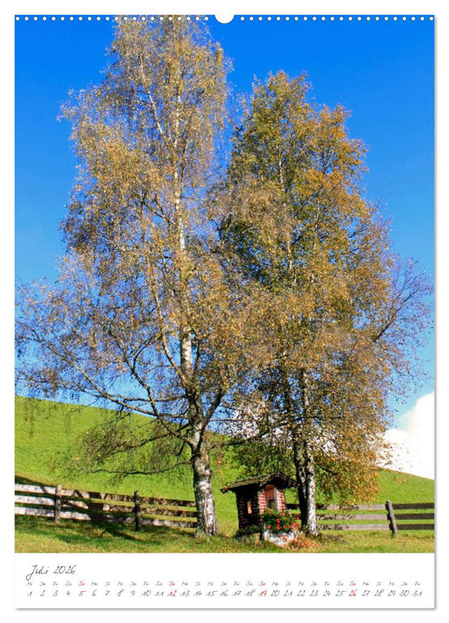 Meine schönsten Bäume (CALVENDO Premium Wandkalender 2026)
