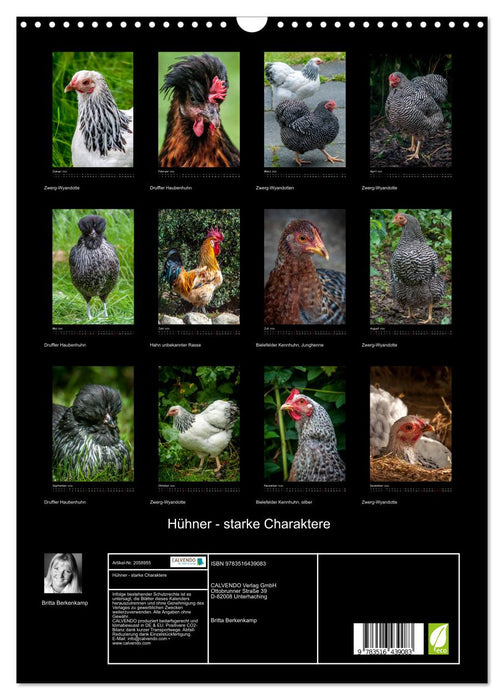 Hühner - starke Charaktere (CALVENDO Wandkalender 2026)