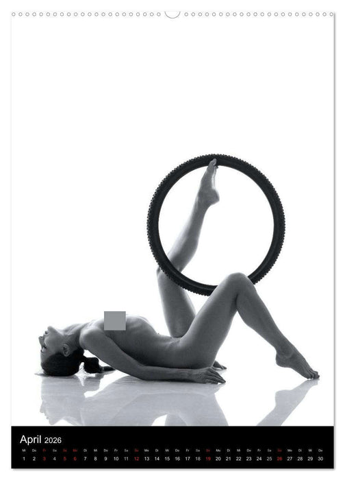 Rund - Aktfotografie (CALVENDO Premium Wandkalender 2026)
