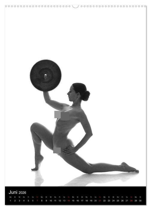 Rund - Aktfotografie (CALVENDO Premium Wandkalender 2026)