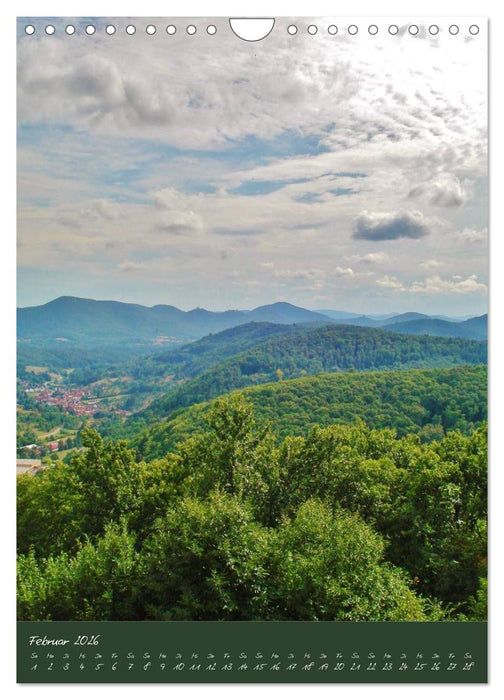 Verwunschene Südpfalz (CALVENDO Wandkalender 2026)