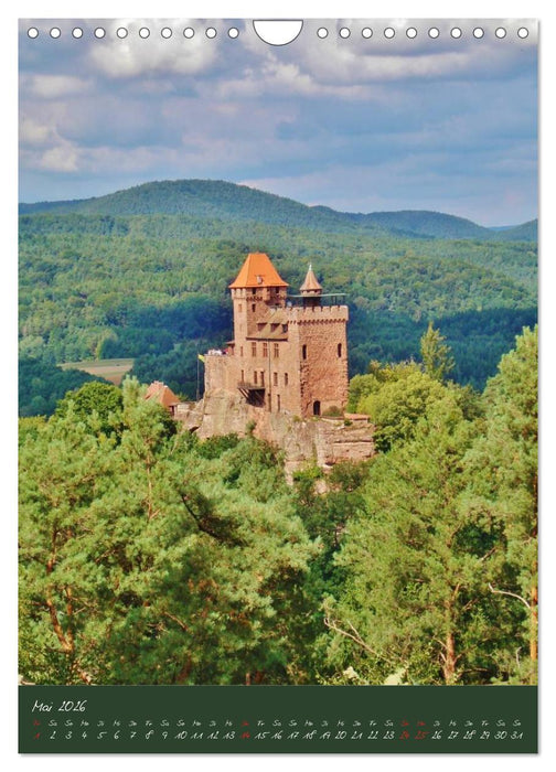 Verwunschene Südpfalz (CALVENDO Wandkalender 2026)