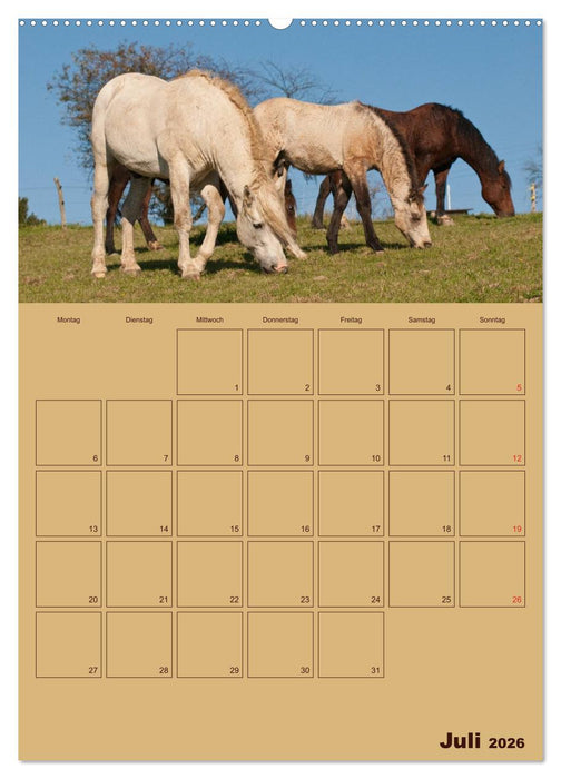 Pferde Gute Freunde (CALVENDO Premium Wandkalender 2026)