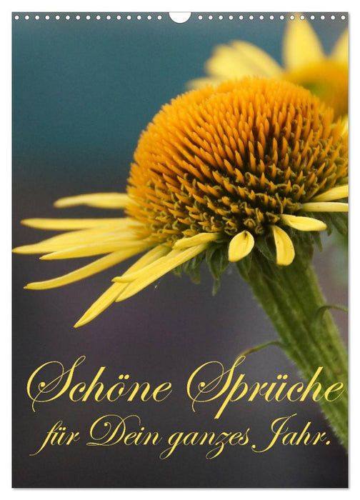 Schöne Sprüche für Dein ganzes Jahr (CALVENDO Wandkalender 2026)