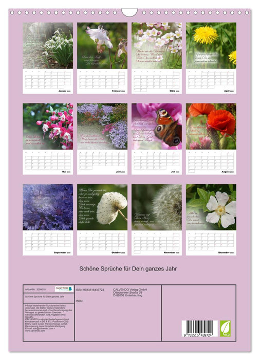 Schöne Sprüche für Dein ganzes Jahr (CALVENDO Wandkalender 2026)
