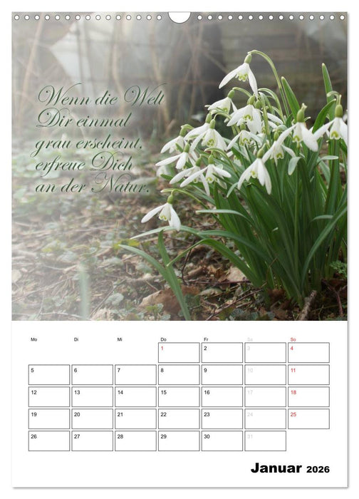 Schöne Sprüche für Dein ganzes Jahr (CALVENDO Wandkalender 2026)