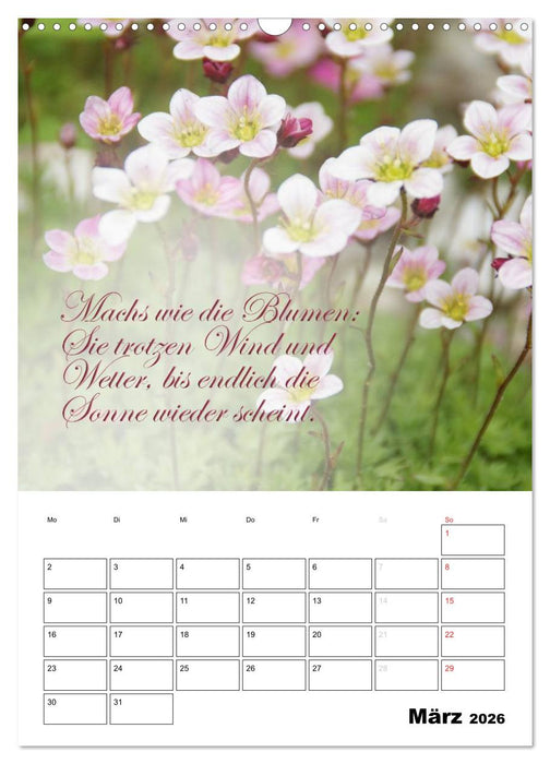 Schöne Sprüche für Dein ganzes Jahr (CALVENDO Wandkalender 2026)