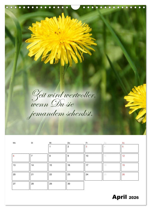 Schöne Sprüche für Dein ganzes Jahr (CALVENDO Wandkalender 2026)