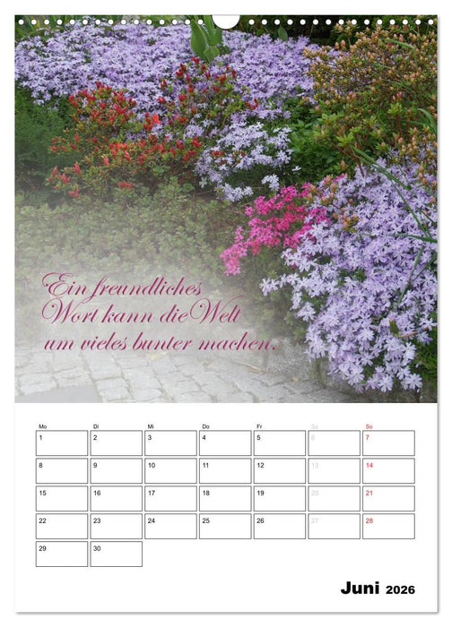 Schöne Sprüche für Dein ganzes Jahr (CALVENDO Wandkalender 2026)