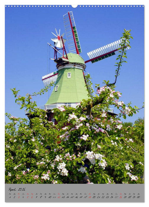 Windmühlen in Norddeutschland (CALVENDO Wandkalender 2026)