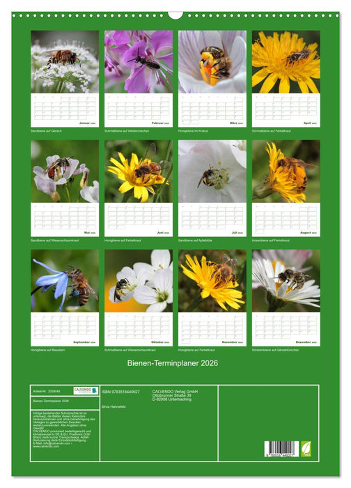 Bienen-Terminplaner 2026 (CALVENDO Wandkalender 2026)