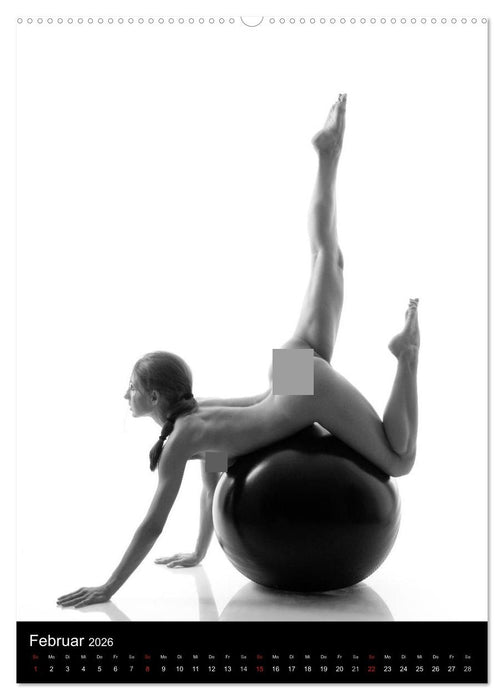 Rund - Aktfotografie (CALVENDO Wandkalender 2026)