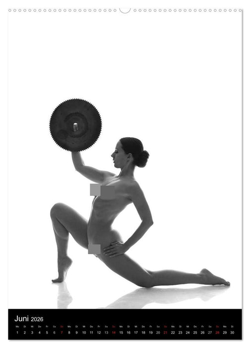Rund - Aktfotografie (CALVENDO Wandkalender 2026)