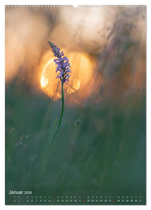 MakRomantik (CALVENDO Premium Wandkalender 2026)