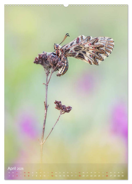 MakRomantik (CALVENDO Premium Wandkalender 2026)