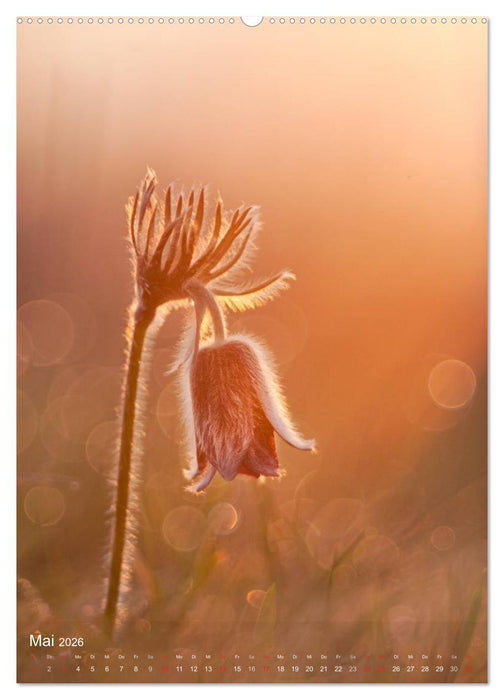 MakRomantik (CALVENDO Premium Wandkalender 2026)