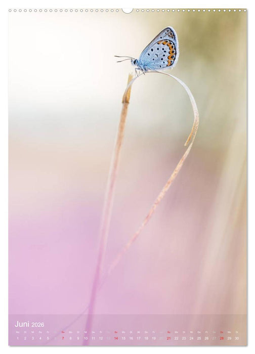 MakRomantik (CALVENDO Premium Wandkalender 2026)