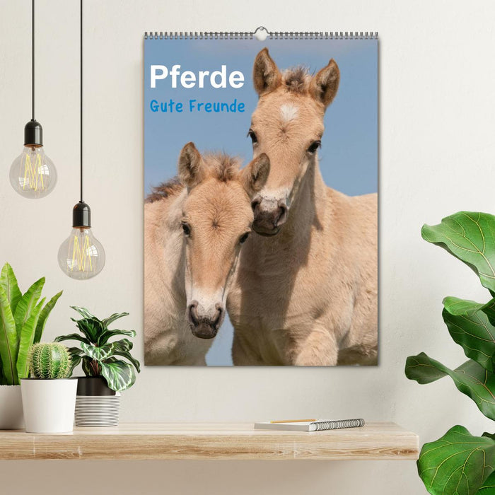 Pferde Gute Freunde (CALVENDO Wandkalender 2026)