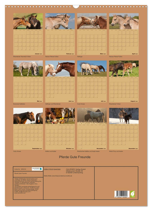 Pferde Gute Freunde (CALVENDO Wandkalender 2026)
