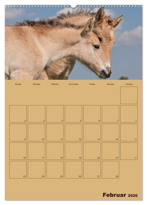 Pferde Gute Freunde (CALVENDO Wandkalender 2026)