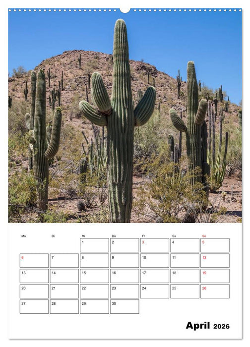 USA Südwest Facettenreiche Landschaften (CALVENDO Premium Wandkalender 2026)