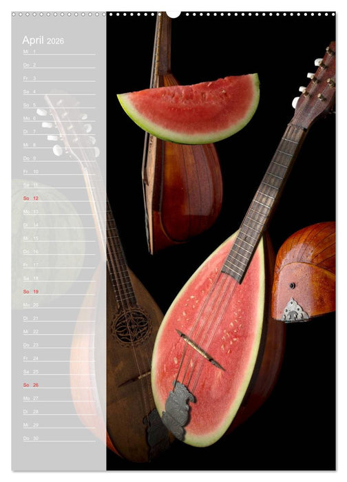 Crazy Kitchen - Der verrückte Küchenplaner (CALVENDO Wandkalender 2026)